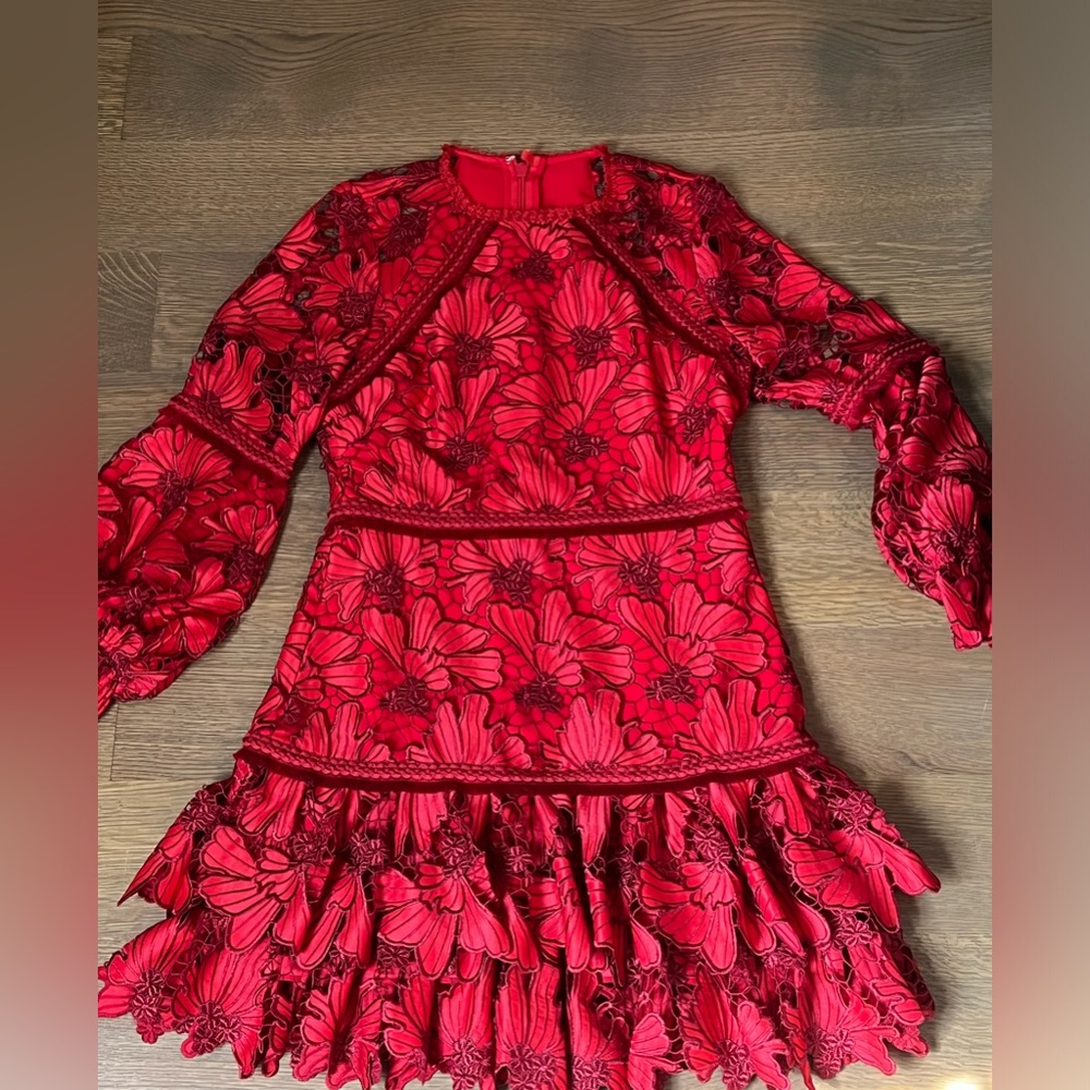 ALEXIS Fransisca Floral Lace Blouson-Sleeve Dress - Picture 4 of 4